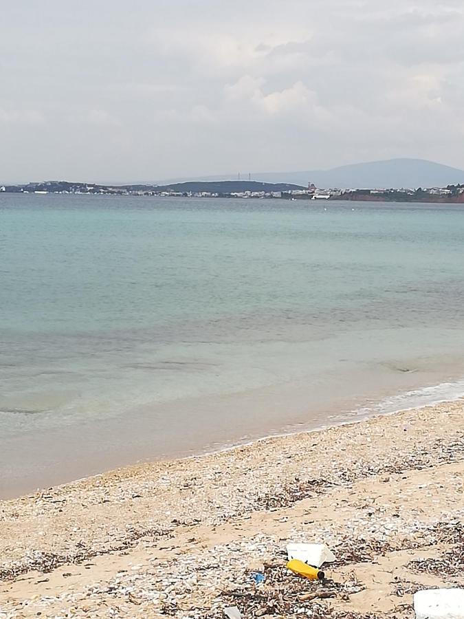 2Sea Loft Nea Potidea Chalkidikiヴィラ エクステリア 写真